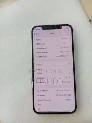 Apple iPhone 12 256gb (Used)