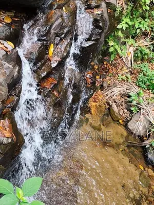 Kithulgala Land for Sale