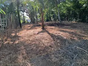 Gampaha Land for Sale
