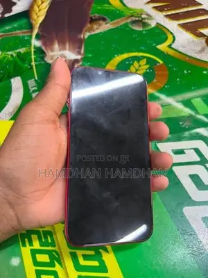 Apple iPhone 13 (Used)