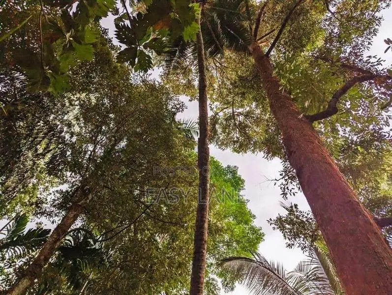 ඌරාපොලෙන් වගාව සමඟ වටිනා ඉඩමක් / SA 8152