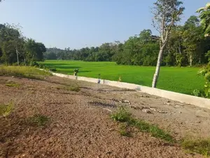 මාතර වෙලකට මුහුණලා ඉඩමක්