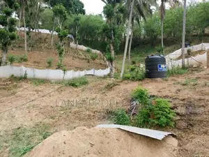 6 Acre Scenic Agricultural Land for Sale ( PRICE DROPED )