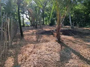 Gampaha Land for Sale