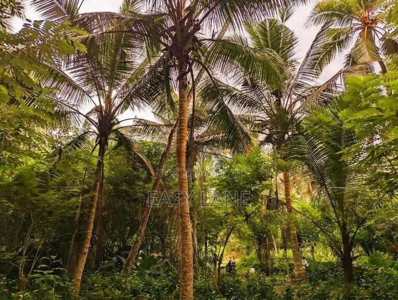 ඌරාපොලෙන් වගාව සමඟ වටිනා ඉඩමක් / SA 8152