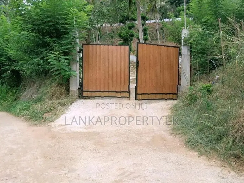 6 Acre Scenic Agricultural Land for Sale ( PRICE DROPED )
