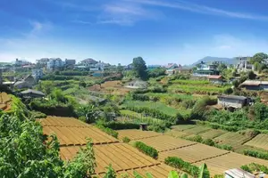 Bungalow for Short Term Rental in Nuwaraeliya