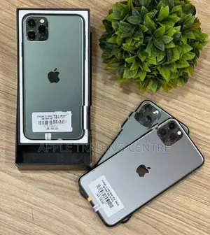 Apple iPhone 11 Pro Max 256GB (Used)
