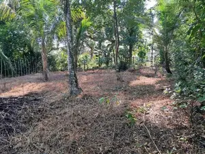 Gampaha Land for Sale