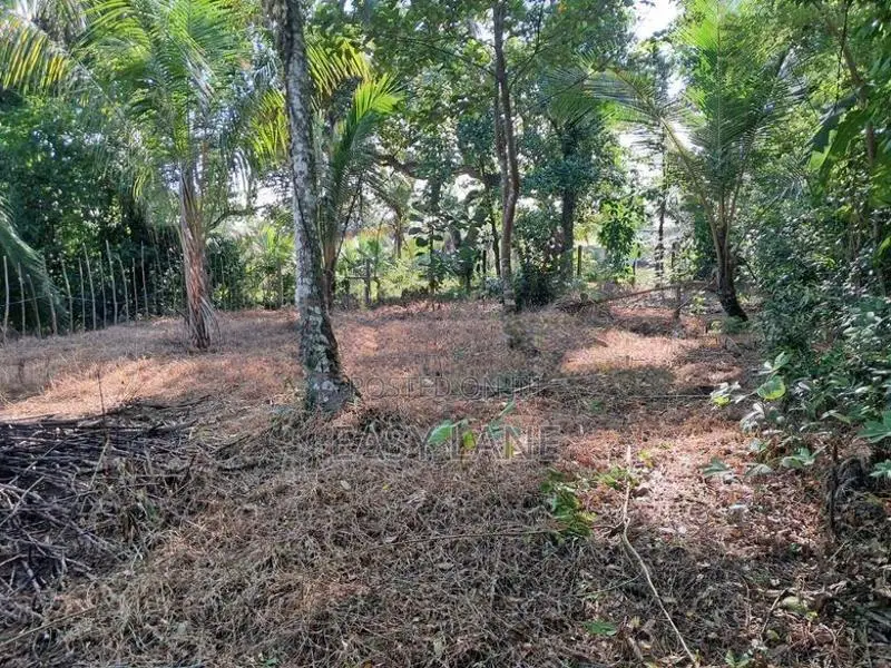 Gampaha Land for Sale