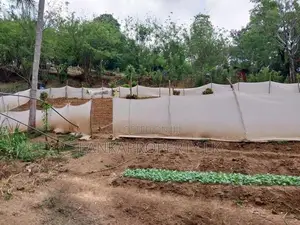 6 Acre Scenic Agricultural Land for Sale ( PRICE DROPED )