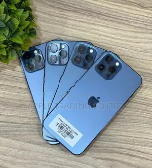 Apple iPhone 12 Pro Max 256GB (Used)
