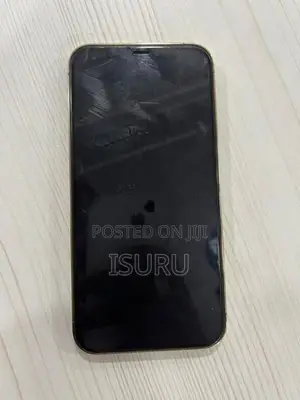 Apple iPhone 12 Pro 256GB (Used)