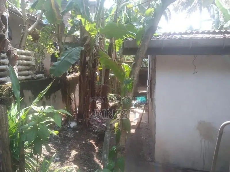 කඩවතට නුදුරින් කුඩා නිවසක් සහිත වටිනා බිම් කොටසක්