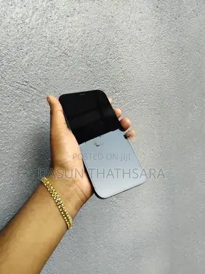 Apple iPhone 12 Pro Max (Used)