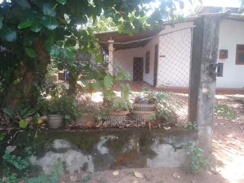 කඩවතට නුදුරින් කුඩා නිවසක් සහිත වටිනා බිම් කොටසක්