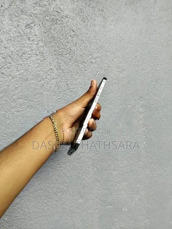 Apple iPhone 12 Pro Max (Used)