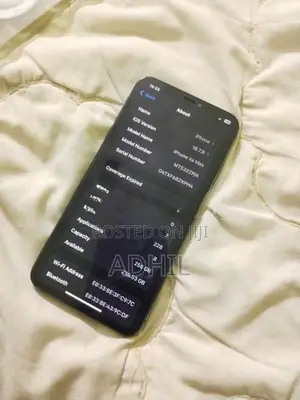 Apple iPhone XS Max (Used)