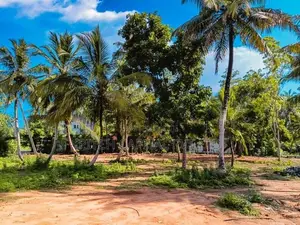 Luxury Land Midigama