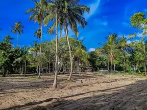 Luxury Land Midigama