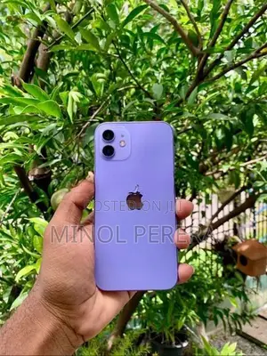 Apple iPhone 12 (Used)