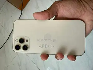 Apple iPhone 12 Pro Max 256GB (Used)