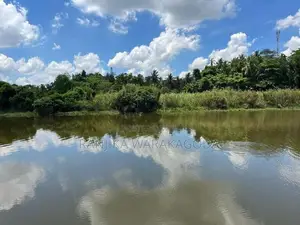 Waterfront Land for Sale - Seeduwa