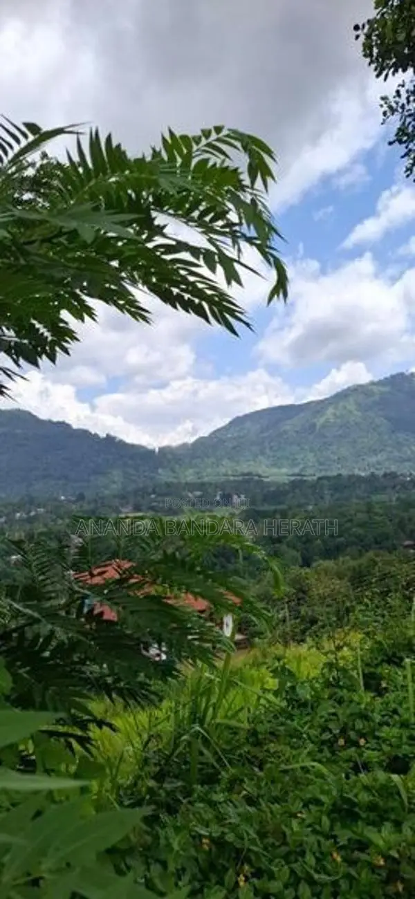 ගම්පොළ නගරයට ආසන්නයෙන් පර්චස් 20ක වටිනා ඉඩමක් විකිණීමට
