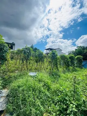 කඩුවෙල – රනාලින් වටිනා නේවාසික ඉඩමක්