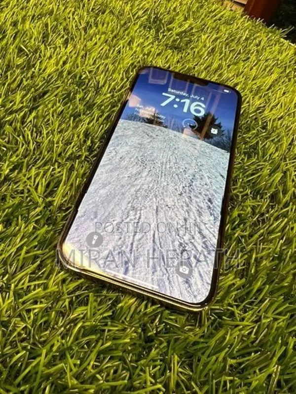 Apple iPhone 13 Pro Max (Used)