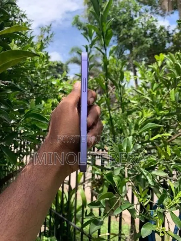 Apple iPhone 12 (Used)