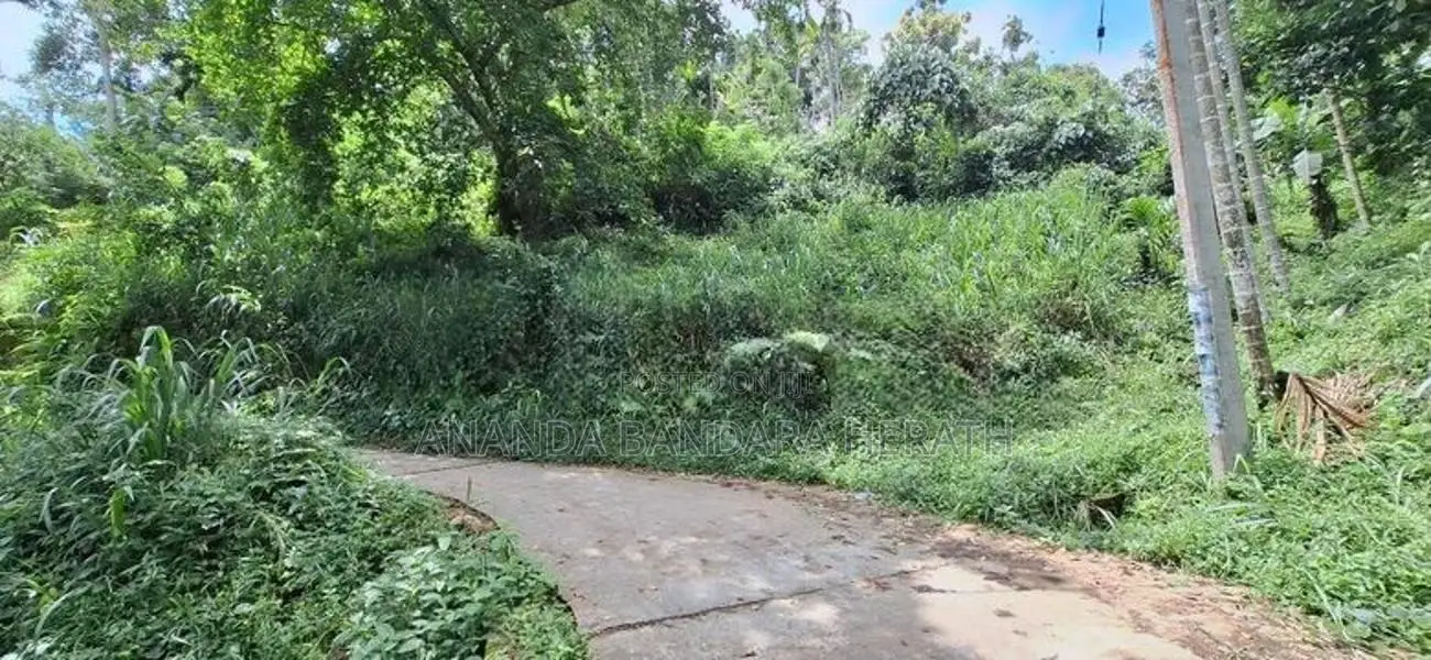 ගම්පොළ නගරයට ආසන්නයෙන් පර්චස් 20ක වටිනා ඉඩමක් විකිණීමට