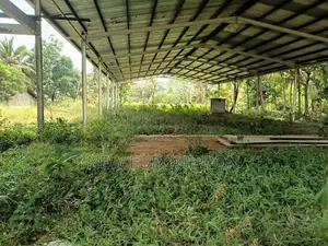 Land for Rent in Dambulla