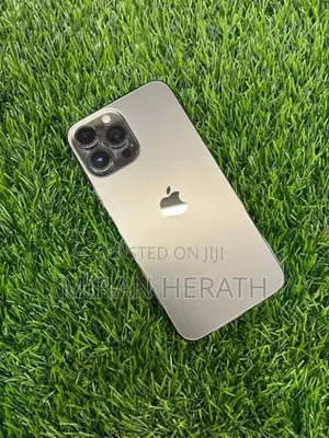 Apple iPhone 13 Pro Max (Used)
