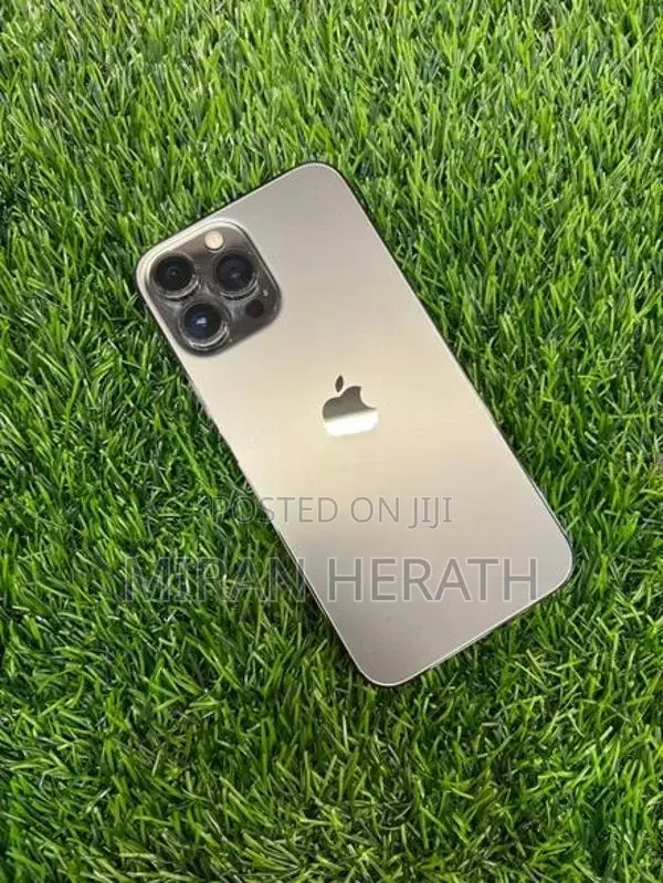 Apple iPhone 13 Pro Max (Used)