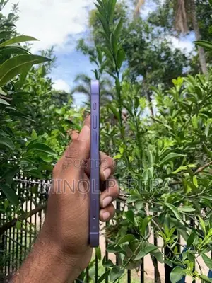 Apple iPhone 12 (Used)