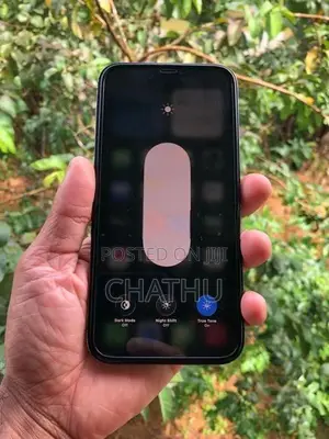 Apple iPhone 12 Pro Max 256 (Used)
