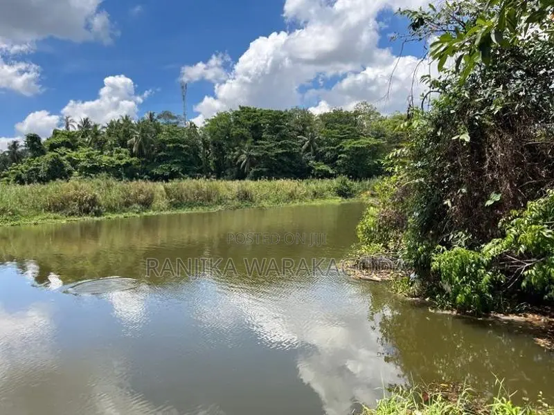 Waterfront Land for Sale - Seeduwa