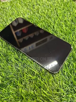 Apple iPhone 13 Pro Max (Used)