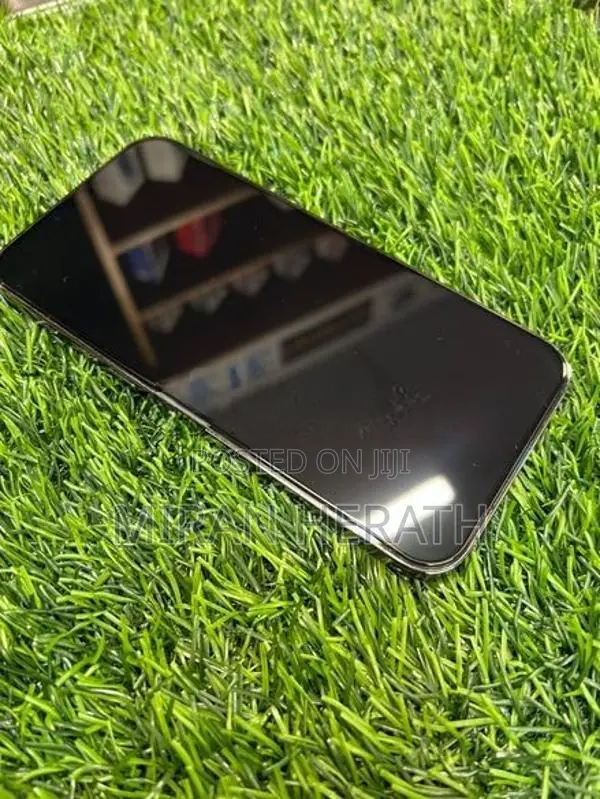 Apple iPhone 13 Pro Max (Used)