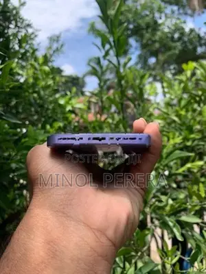 Apple iPhone 12 (Used)