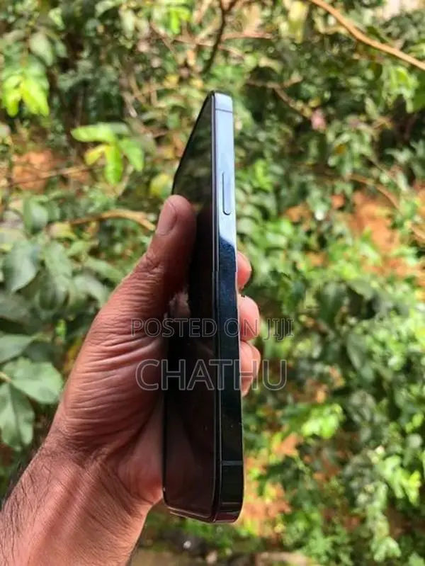 Apple iPhone 12 Pro Max 256 (Used)
