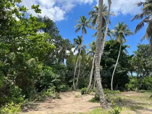 Waterfront Land for Sale - Seeduwa