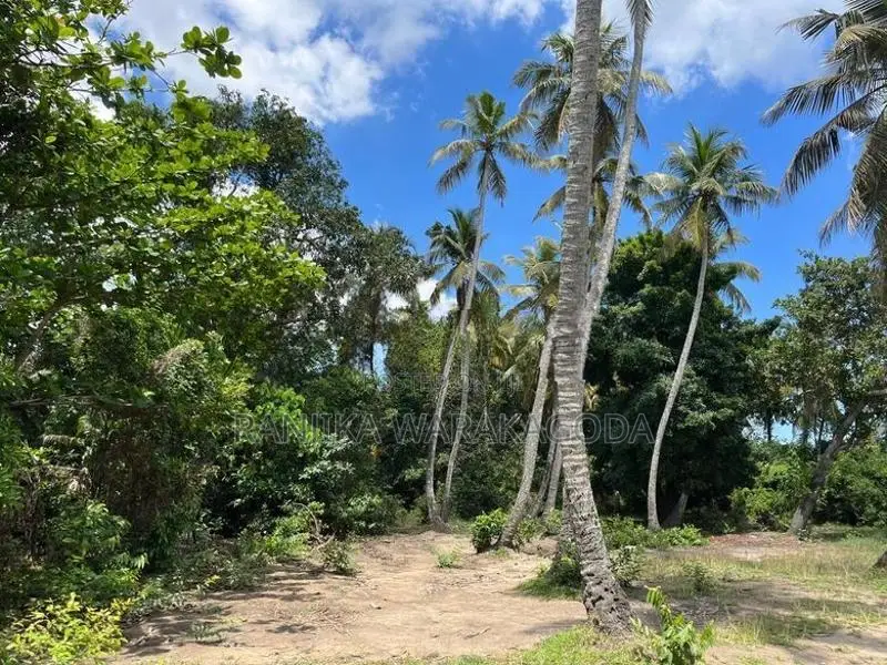 Waterfront Land for Sale - Seeduwa
