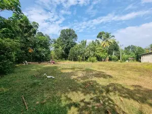 නිට්ටඹුව – අත්තනගල්ලෙන් වටිනා නේවාසික ඉඩමක් විකිණීමට / RU 11060