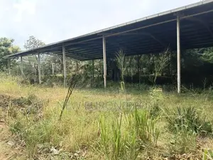 Land for Rent in Dambulla