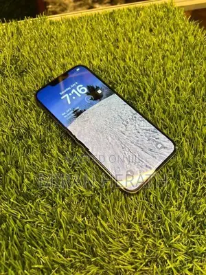 Apple iPhone 13 Pro Max (Used)