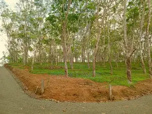අහංගම සංචාරක කලාපයට ආසන්නව Land