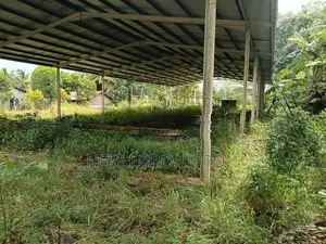 Land for Rent in Dambulla