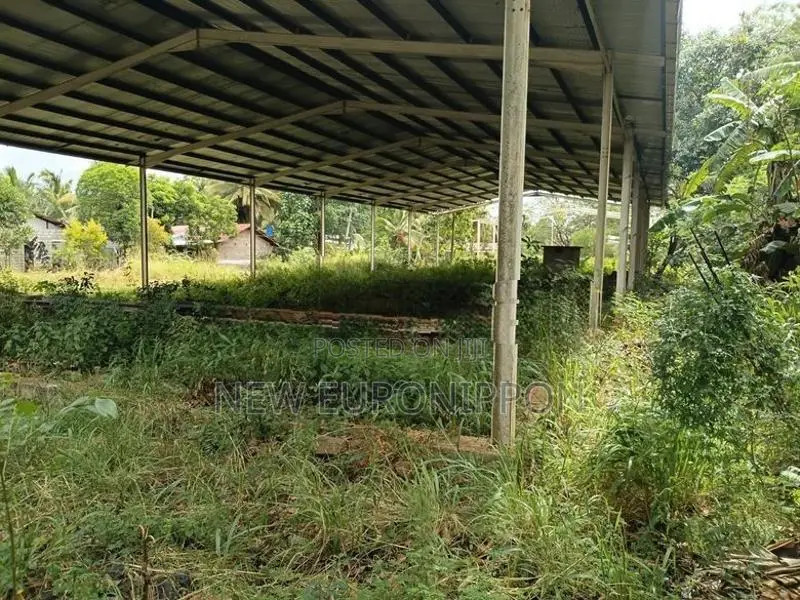 Land for Rent in Dambulla